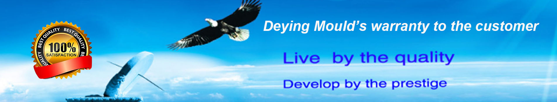 deying mould Warranty_1