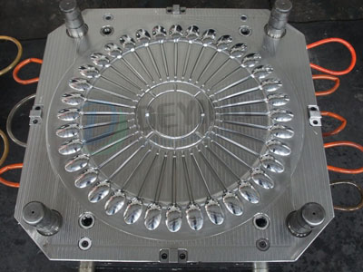 mould case show-3