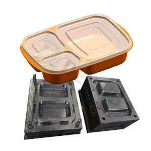 salad box molds plastic bento lunch box mould