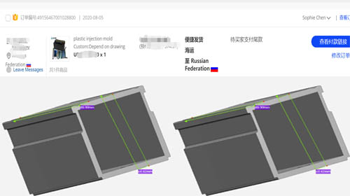 Russian client purchase new injection mold