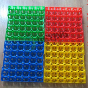 plastic injection egg tray mould manufacturers 30pcs egg tray mold