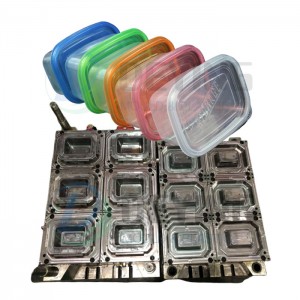 Take Away Disposable Plastic Oven Food Container Mould