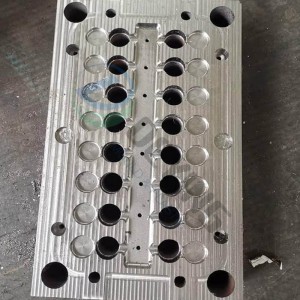 Plastic Injection flip cap mold for bottle or preform